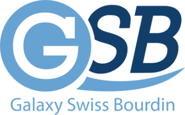 gsb logo